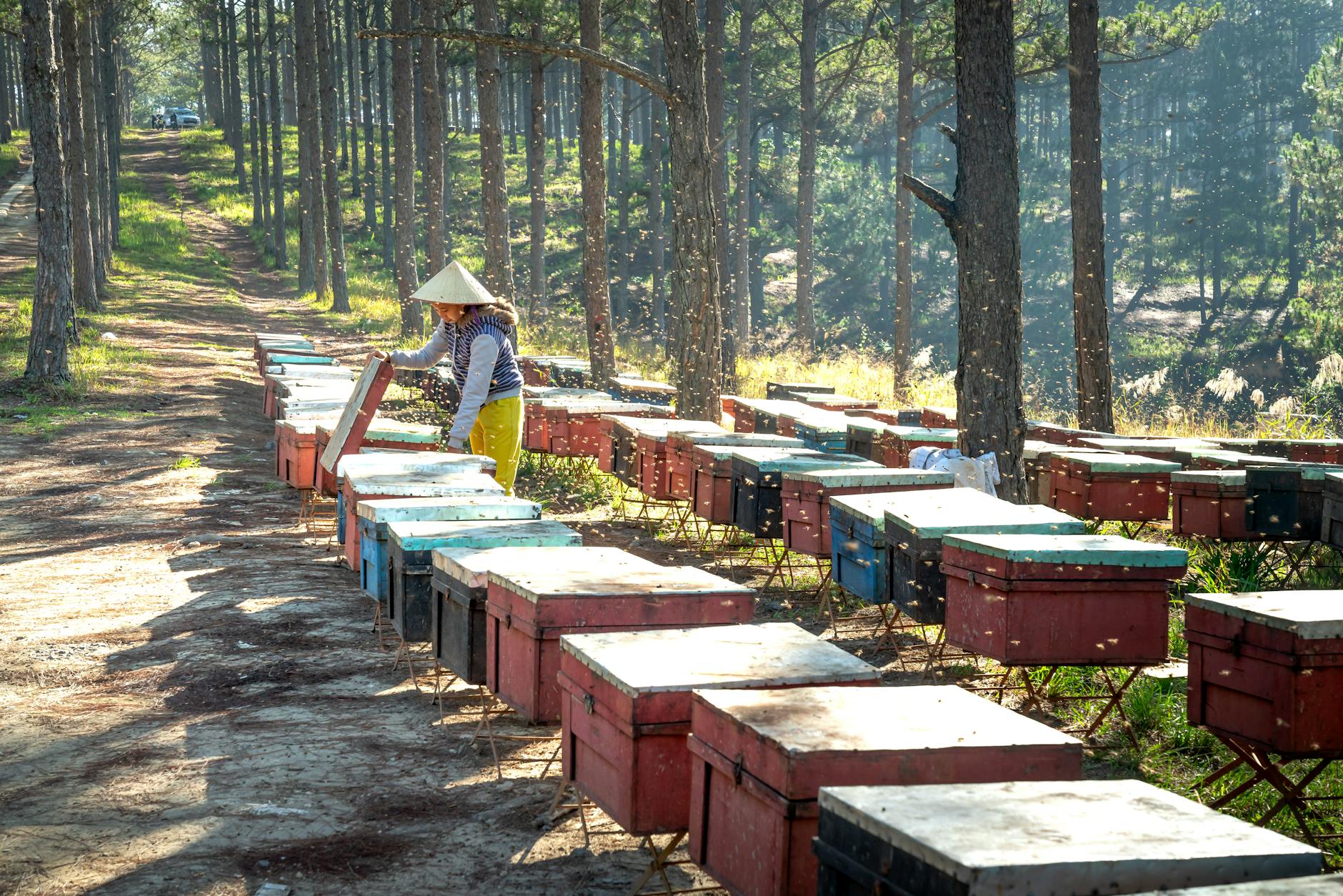 Imkerin am Lehrbienenstand mit Schutzanzug bei der Arbeit an einem Bienenstock