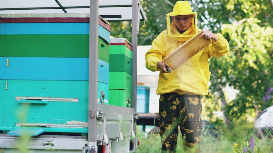 Imker-Werkzeuge und Schutzausrüstung am Lehrbienenstand